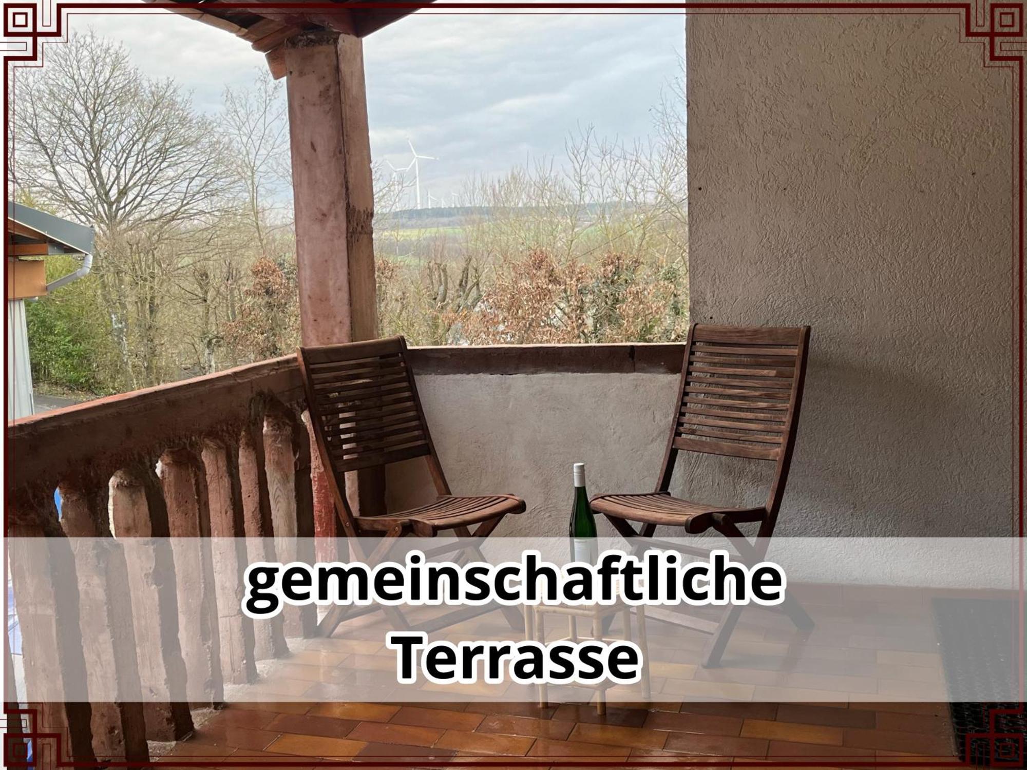 Smallsaigon Apartment Mit Guter Anbindung Zwischen Mosel Und Rhein Leiningen Exterior foto